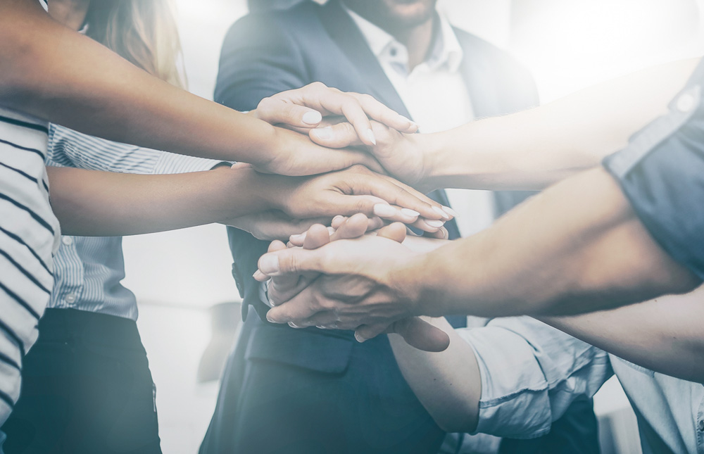 Das Team – Lernen Sie unser Team kennen