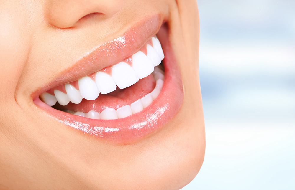 Unsere Ergebnisse und Produkte